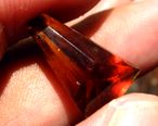 Amber Borneo